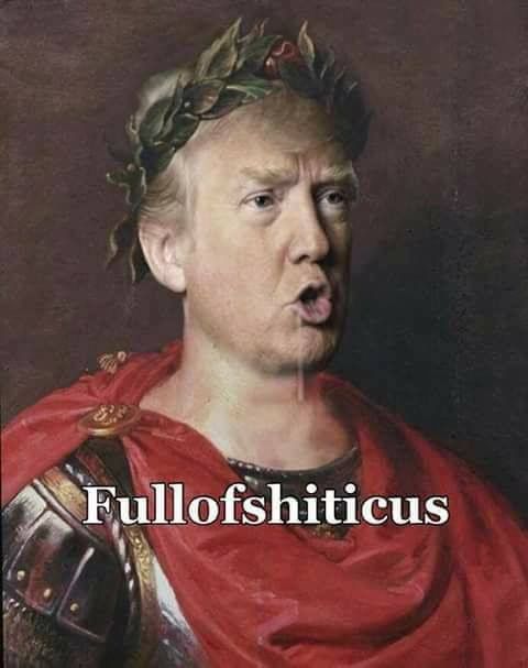 One example of
Trump criticism that we analyze in our paper. Trump's face is photoshopped onto
a Roman emperor's portrait and captioned 'Fullofshiticus'